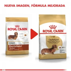 Royal Canin Adulto Dachshund Alimento Para Perro