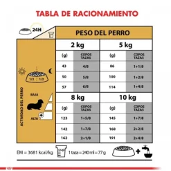 Royal Canin Adulto Dachshund Alimento Para Perro