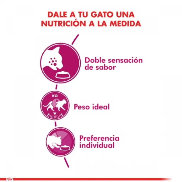 Royal Canin Adulto Exigent Alimento Para Gato