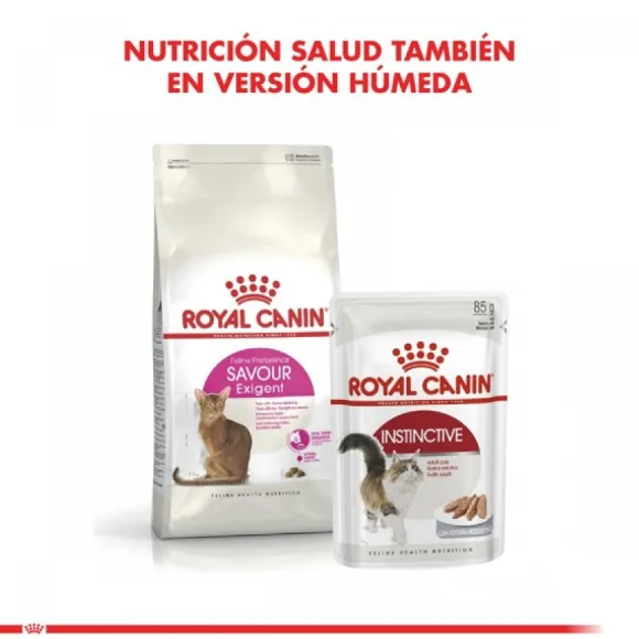 Royal Canin Adulto Exigent Alimento Para Gato