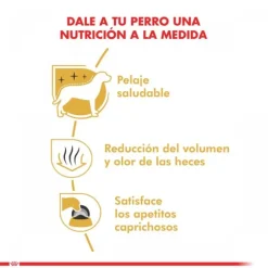 Royal Canin Adulto Maltes Adult Alimento Para Perro