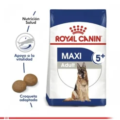 Royal Canin Adulto Maxi Adulto 5+ Alimento Para Perro
