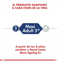 Royal Canin Adulto Maxi Adulto 5+ Alimento Para Perro