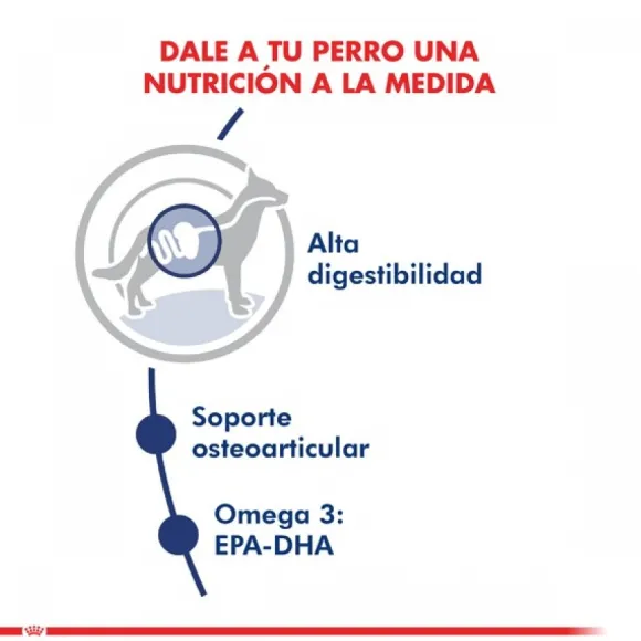 Royal Canin Adulto Maxi Adult 15 Kg Alimento Para Perro