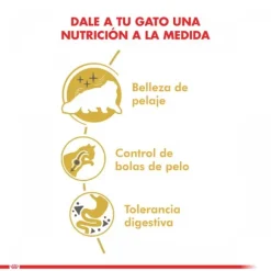 Royal Canin Adulto Persian 1.5 Kg Alimento Para Gato