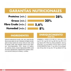 Royal Canin Adulto Persian 1.5 Kg Alimento Para Gato