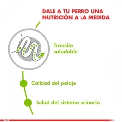 Royal Canin Adulto X-Small Adult Alimento Para Perro