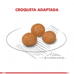 Royal Canin Adulto X-Small Adult Alimento Para Perro