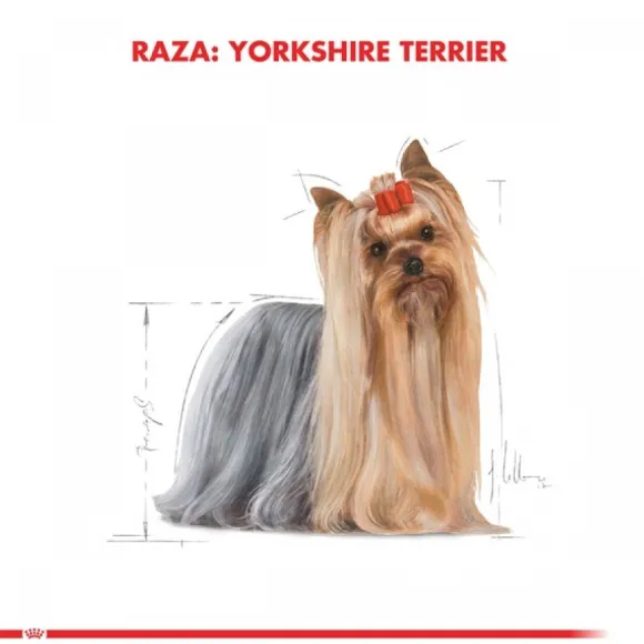 Royal Canin Adulto Yorkshire Terrier Adult Alimento Para Perro