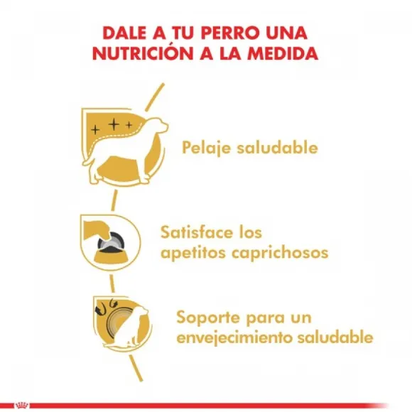 Royal Canin Adulto Yorkshire Terrier Adult Alimento Para Perro
