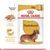 Royal Canin Alimento H Medo Perro Adulto Dachshund