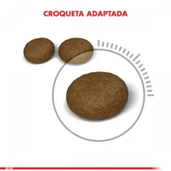 Royal Canin Alimento Seco Gato Adulto Hair & Skin