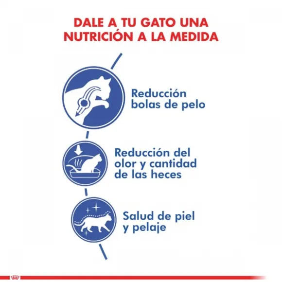 Royal Canin Alimento Seco Gato Adulto Indoor Long Hair