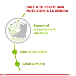 Royal Canin Alimento Seco Perro Adulto X-Small Ageing 12+ 1Kg