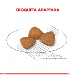 Royal Canin Alimento Seco Perro Adulto X-Small Ageing 12+ 1Kg