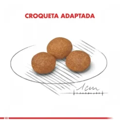 Royal Canin Alimento Seco Perro Adulto X-Small Adult 8+ 1Kg