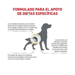 Royal Canin Alimento Seco Perro Adulto Urinary S/O