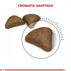 Royal Canin Alimento Seco Gato Adulto Intense Hairball 1.5 Kg .