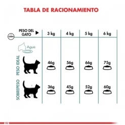 Royal Canin Alimento Seco Gato Adulto Intense Hairball 1.5 Kg .
