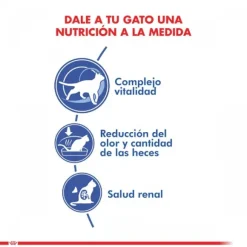 Royal Canin Alimento Seco Gato Adulto Indoor +7