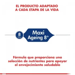 Royal Canin Alimento Seco Perro Adulto Maxi Ageing 8+