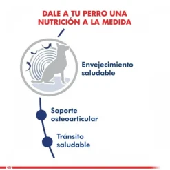 Royal Canin Alimento Seco Perro Adulto Maxi Ageing 8+