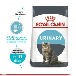 Royal Canin Alimento Seco Gato Adulto Urinary Care