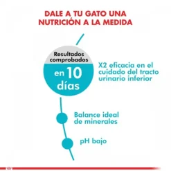 Royal Canin Alimento Seco Gato Adulto Urinary Care