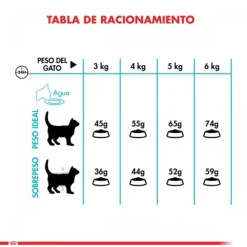 Royal Canin Alimento Seco Gato Adulto Urinary Care