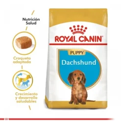 Royal Canin Cachorro Dachshund Junior Alimento Para Perro