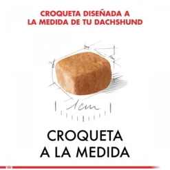 Royal Canin Cachorro Dachshund Junior Alimento Para Perro