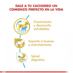Royal Canin Cachorro Dachshund Junior Alimento Para Perro