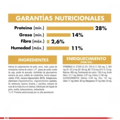 Royal Canin Cachorro Dachshund Junior Alimento Para Perro