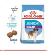 Royal Canin Cachorro Giant Junior 15 Kg Alimento Para Perro