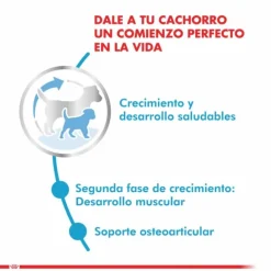 Royal Canin Cachorro Giant Junior 15 Kg Alimento Para Perro