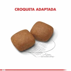 Royal Canin Cachorro Giant Junior 15 Kg Alimento Para Perro