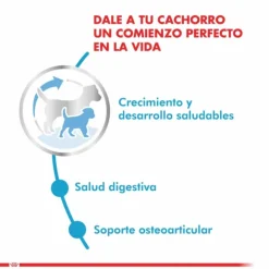 Royal Canin Cachorro Giant Puppy Alimento Para Perro