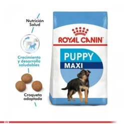 Royal Canin Cachorro Maxi Puppy Alimento Para Perro