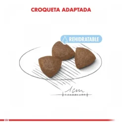 Royal Canin Cachorro Medium Starter Alimento Para Perro