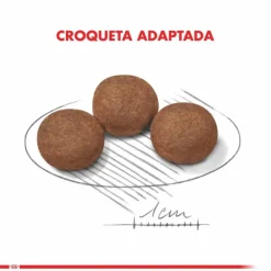 Royal Canin Cachorro Medium Puppy Alimento Para Perro