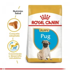 Royal Canin Cachorro Pug Junior Alimento Para Perro