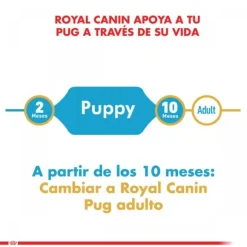 Royal Canin Cachorro Pug Junior Alimento Para Perro