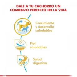 Royal Canin Cachorro Pug Junior Alimento Para Perro