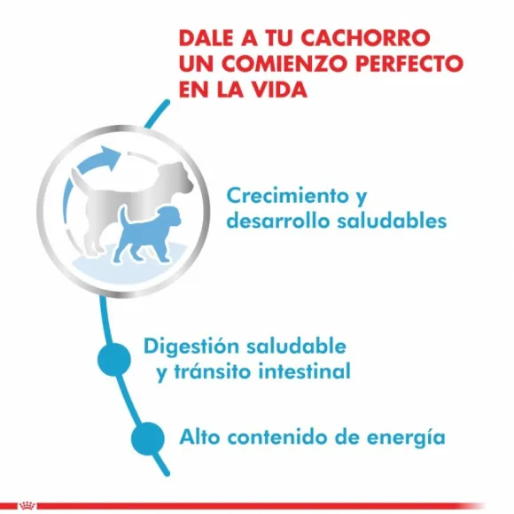 Royal Canin Cachorro X-Small Puppy Alimento Para Perro
