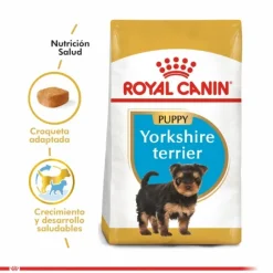 Royal Canin Cachorro Yorkshire Terrier Junior Alimento Para Perro