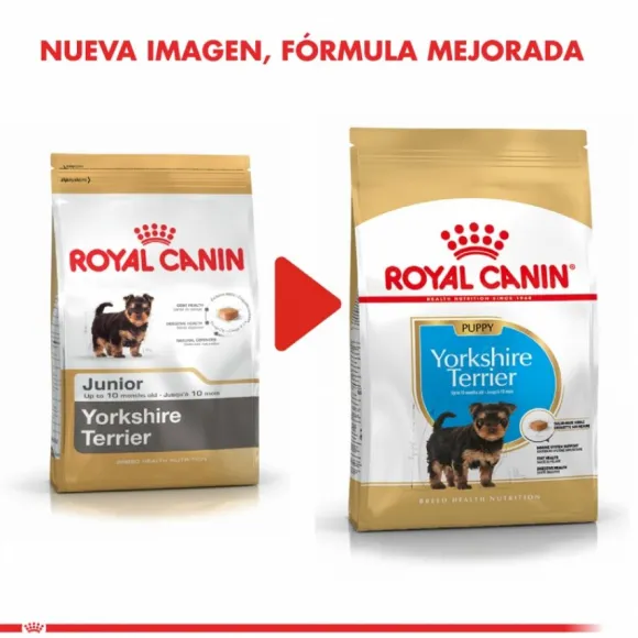 Royal Canin Cachorro Yorkshire Terrier Junior Alimento Para Perro