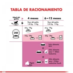 Royal Canin Gatito Felino Kitten Alimento Para Gato