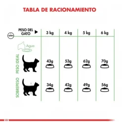 Royal Canin Royal Canin Adulto Digestive Care Alimento Para Gatos