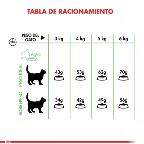 Royal Canin Royal Canin Adulto Digestive Care Alimento Para Gatos