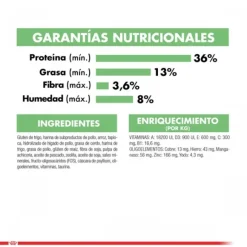 Royal Canin Royal Canin Adulto Digestive Care Alimento Para Gatos